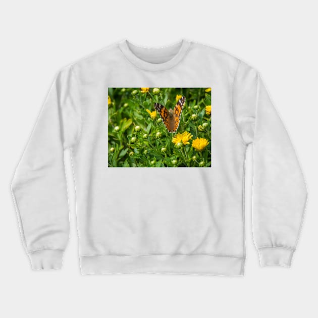 Painted Lady Butterfly by Debra Martz Crewneck Sweatshirt by Debra Martz